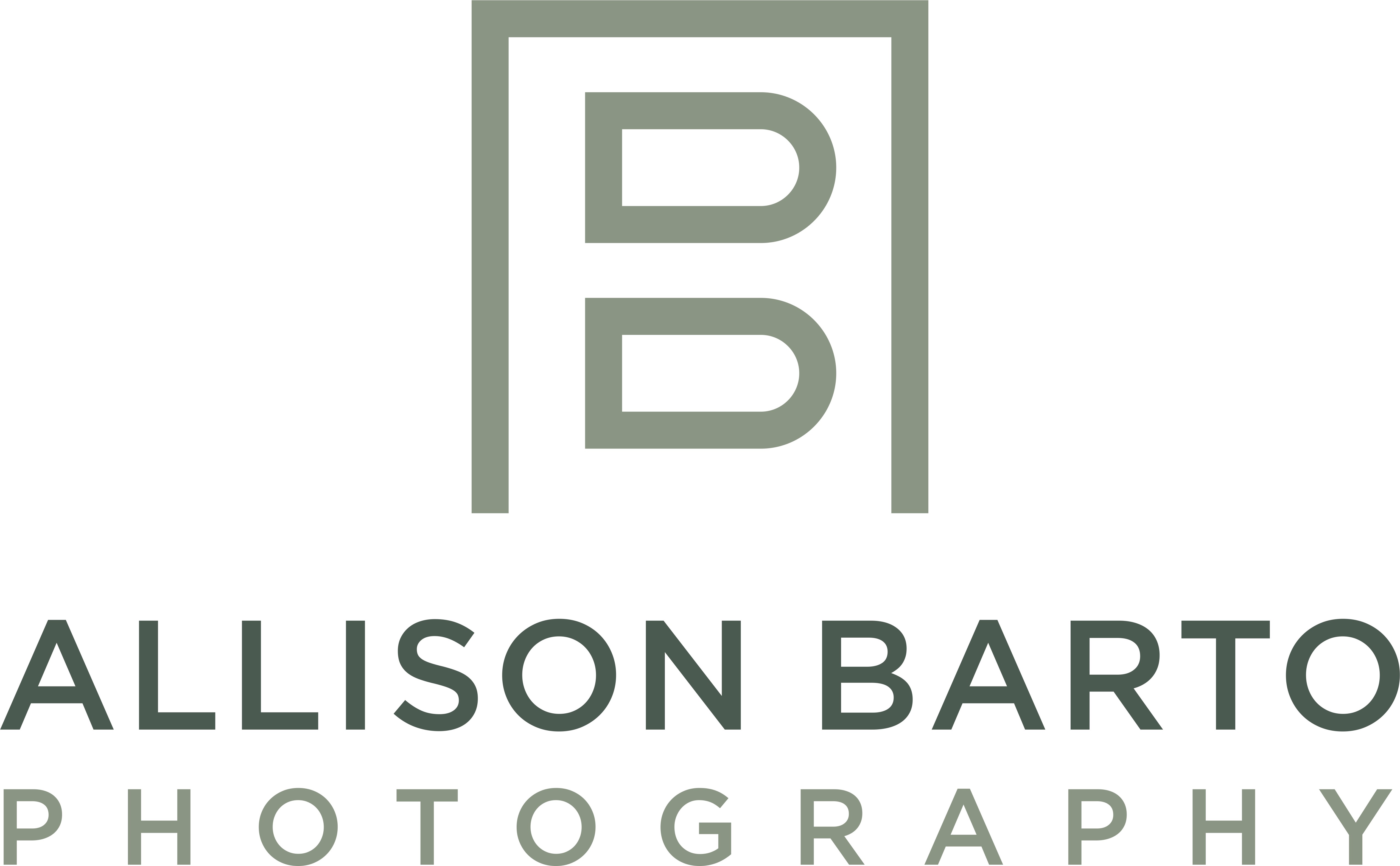 Allison Barto Photography 